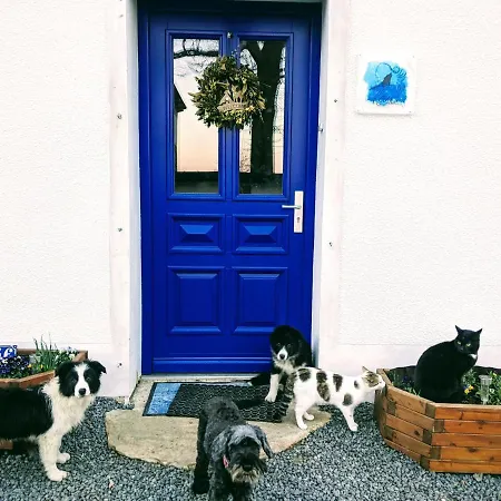 Siedlisko Krasna Bed & Breakfast 3*